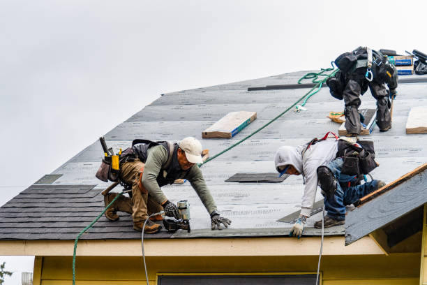 Professional Roof Installation technician working in The Plains, OH